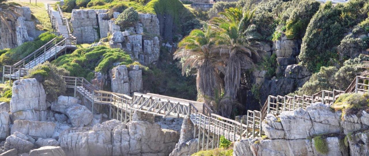 Hermanus Haven, Entire Home, On The Sea, Private Pool, Secure Екстериор снимка